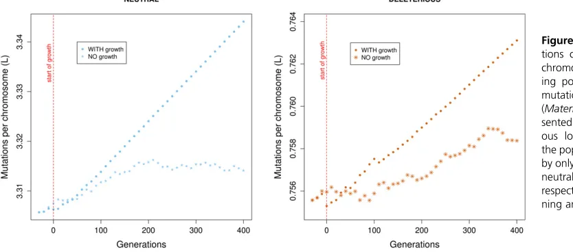 Figure 5 The number of muta-tions carried by each individualchromosome is higher in a grow-ing population