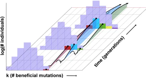 Figure 2 The frequency trajectory of a successful mutation on a high-able to avoid extinction
