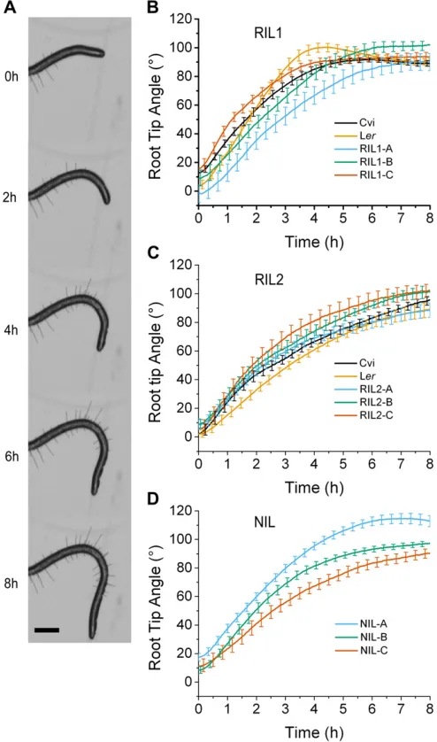 Figure 3. Additive genetic variance was initially low in all