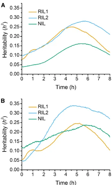 Figure 5 (A) Heritability calculated via results from stepwise QTL analysisat individual time points