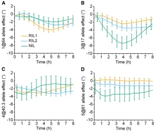 Figure 6 Time-dependent allele effects on root tip an-gle during gravitropism. The four QTL found by step-wise QTL analyses at each time point that werecommon to at least two populations were added toa model and the contribution of each locus was esti-mate