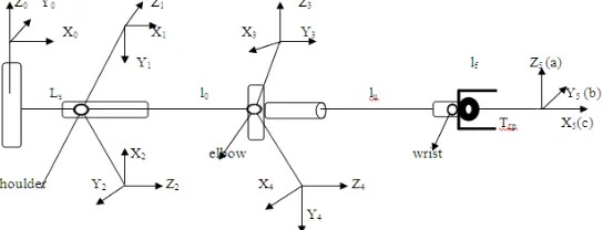 Fig. 6 The coordinate system of the arm The coordinate transformation is describing the position and orientation of the end-effectors with respect to the base frame is given by 