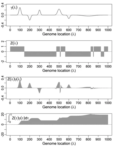 Figure 1D shows the hypothetical chromosome with four