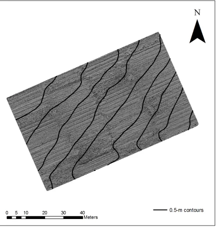 Fig. 2.3 A hillshaded Triangulated Irregular Network (TIN) created from raw elevation values (trend intact)