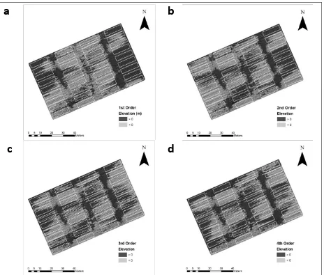 Fig. 2.5 Hillshaded TINs created from data detrended using a (a) first-, (b) second-, (c) third-, and (d) fourth-order polynomial