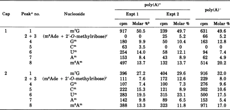 TABLE 2. Composition of methylated oligonucleotides in Ad 2 early mRNA Cap 1 and Cap 2