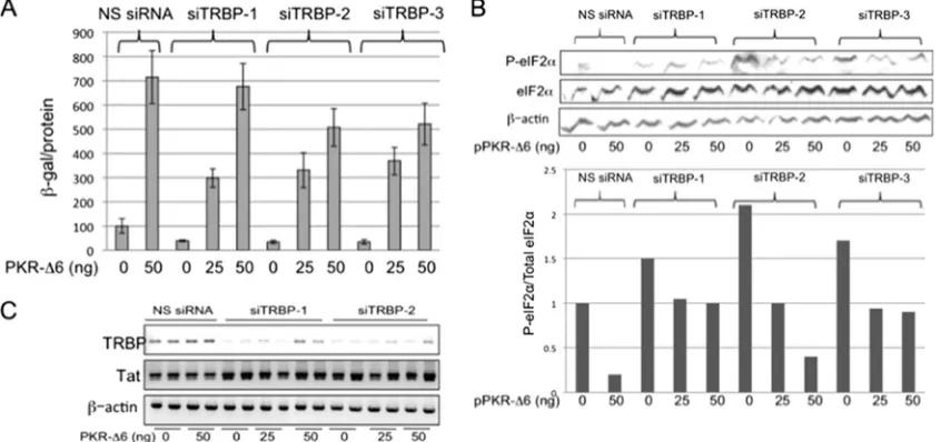 Fig. 1C, there were no measurable changes in the level of Tat