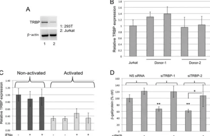FIG. 3. TRBP promotes HIV-1 replication in primary CD4�treated or not treated with 1,000 U/ml IFN-normalized to actin and are represented as the fold change relative to nonactivated, untreated T cells