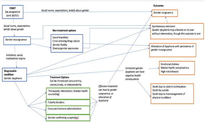 Figure 7. Outcomes of gender dysphoria when treatment is introduced 