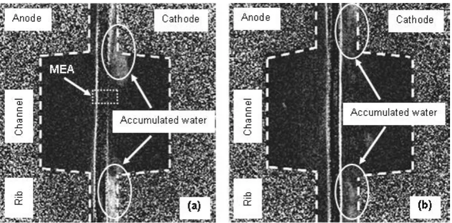 Figure 5 (a) Image of droplet detachment from the GDL surface by the airflow (b) Air velocity detachment for different droplet sizes [140]  