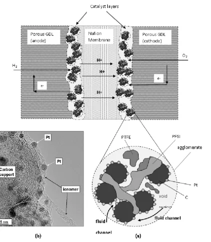 Figure 7 (a) Cross-sectional view of a typical Membrane Electrode Assembly (MEA) of PEMFC (b) TEM Image of Pt catalyst particles on carbon support surrounded by recast ionomer h (4.b is reproduced from [362] with permission) 