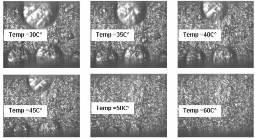 Figure 2 Images of water accumulation in the cathode flow channels for different fuel cell operating temperatures [107]  