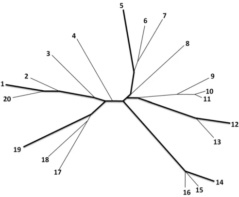 Figure 1 Illustration of the selection of the most phylogenetically diverseand then identihaplotypes already selected