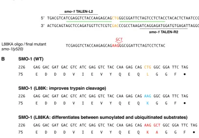 Figure 2 Reprogramming theshown in orange, and the replacement sequences are shown in blue and red