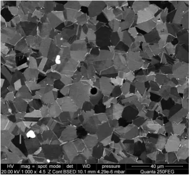 Fig. 3. SEM microstructure study of ATI 718Plus®microstructure after static grain growth in the furnace, 70 µm