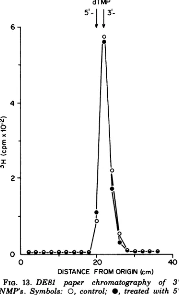 FIG. 12.ase DE81 paper chromatography ofexonucle- product. Symbols: 0, control; *, treated with 5'-nucleotidase.