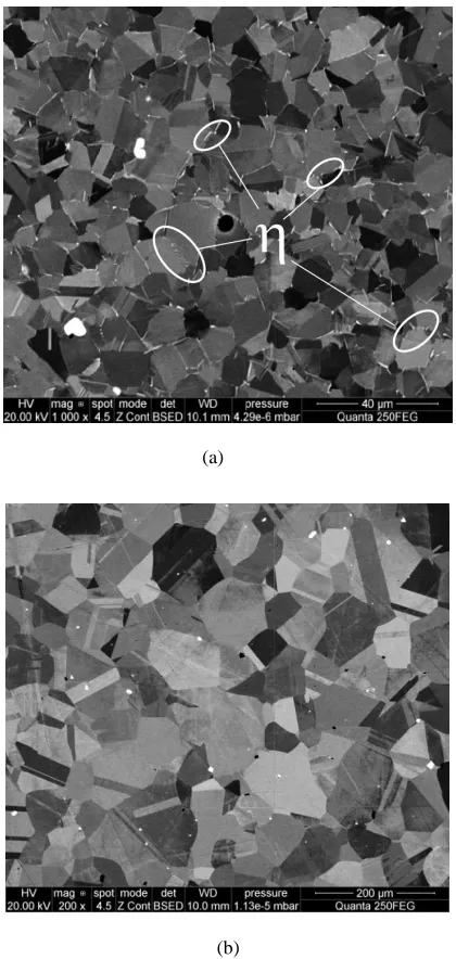 Figure 3. SEM microstructure study of ATI 718Plus® billet: (a) - initial material, 10 µm; (b) – microstructure after static grain growth in the furnace, 70 µm
