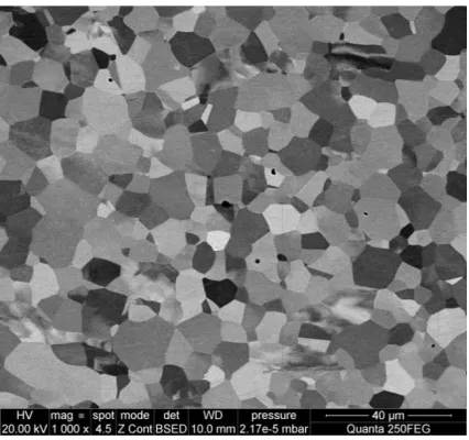 Figure 4. Results of the base FE simulation with parameters from the forging trials: (a) – volume fraction of recrystallised grains; (b) – average grain size of new recrystallised grains