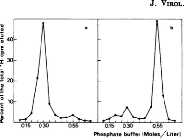 FIG. 7.scribedto3H-labeled horizontal Profile of elution from hydroxyapatite of DNA from pools A and B corresponding bars in Fig