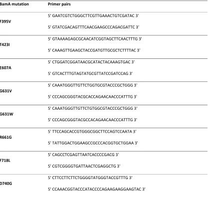 Table S2   Primers 