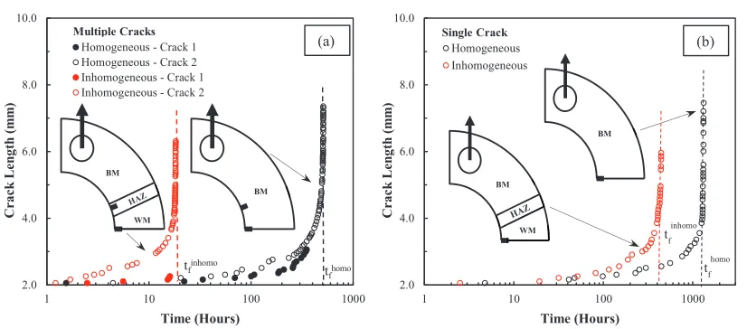 Figure 9. Crack length versus time: (a) multiple crack model and (b) single crack model 