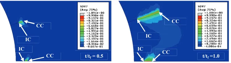 Figure 11. Creep damage contours  