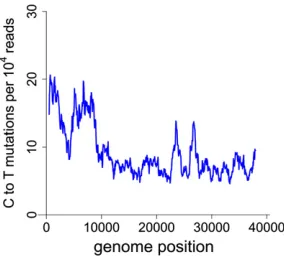 Figure 3 A sliding window analysis of the number of C to T mutations ina T7Hi genome treated with hydroxylamine 45 hr exhibits a modest de-viation from uniformity, suggestive of unequal exposure across the ge-nome