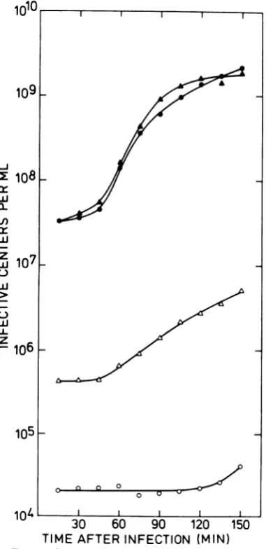 TABLE 1. Effects ofMC on restriction of SPP1