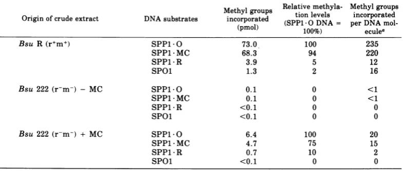 TABLE 5. DNA methyltransferase activities in crude cell extracts.