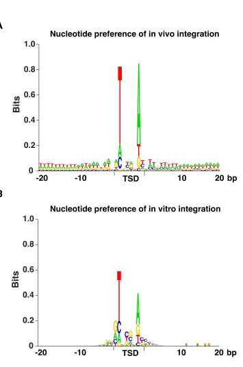 Figure S2   The average nucleotide frequencies flanking the insertion sites were determined