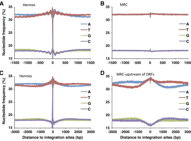 Figure 2 The sites of Hermes integration havea two-component pattern of nucleotide prefer-ences that extends 3 kb from the insertion sites.(A) The in vivo insertion sites were aligned andthe average nucleotide frequencies were calcu-lated for a window that