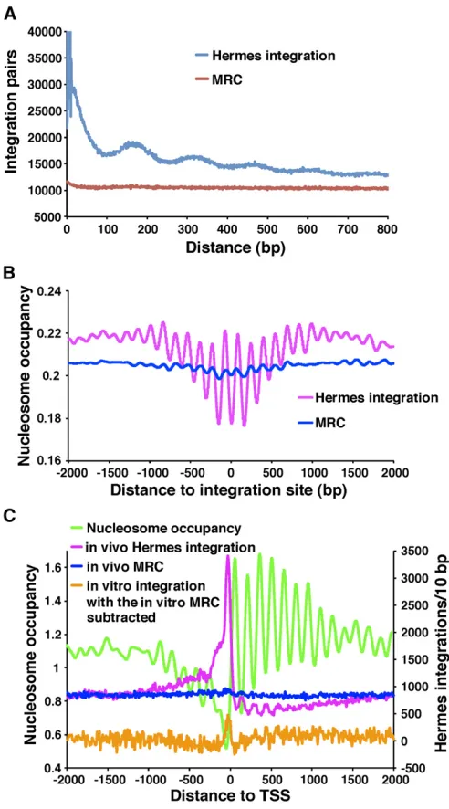 Figure 3800 bp apart. Also shown are the distances between inser-insertion sites in chromosome 3 were aligned and the average nucleo-some occupancies were plotted for each position in a window that ex-tended 2 kb on both sides