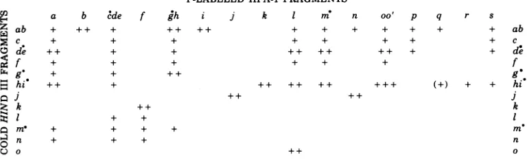 FIG. 5.sequences)(a) The hybridization of 32P-labeled Hind III fragments to unlabeled Hpa-1 fragments