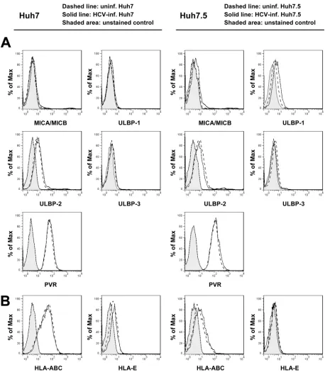 FIG. 6. NK ligand expression on Huh7 and Huh7.5 cells after HCV infection. Huh7 and Huh7.5 cells were infected with HCV at an MOI of10 and an MOI of 1, respectively