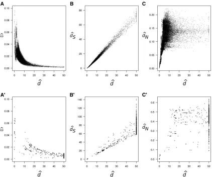 Figure 1 Pairwise estimates ofalignment gaps. In Athe joint analysis areprotein-coding genes and the ribosomal protein-coding genes (the phylogeny are(Yang 2007), with empirical codon frequencies and assuming nodcoding genes of bacteria (A v = dN/dS, d, dS