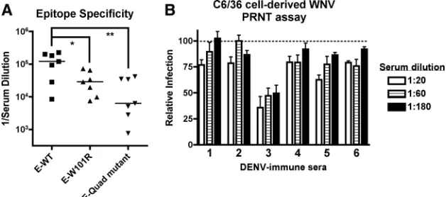 FIG. 9. Sera from humans with a history of multiple DENV infections contain cross-reactive, poorly neutralizing antibodies directed againstthe DII-FL epitope