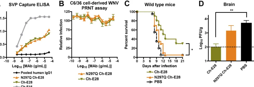 FIG. 3. Efﬁcacies of different anti-WNV MAbs in C1qover a period of 3 weeks. The number of animals for each antibody condition ranged as follows:FcIgG1), an isotype control (IgG1), or PBS 1 day prior to infection with 10Fc�/� and Fc�R�/� mice