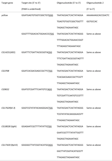Table S2 Seven Drosophila loci with 8 targeting sites chosen for this study and oligonucleotides used to 