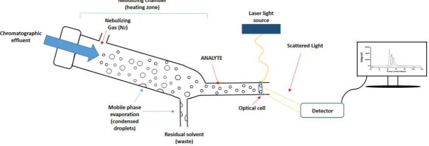 Figure 1.Figure 1. Schematic representation of the mechanism of an evaporative light scattering detector (ELSD)