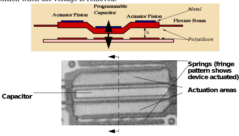 Figure 6 Individual MEMS switch