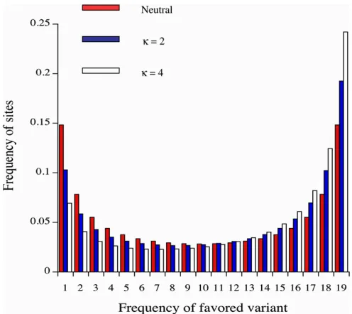 Figure 1 Site frequency spectra in a sample of 20 alleles with a predom-ainance of directional selection, from matrix iterations