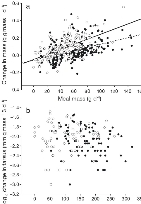 Fig. 1. Puffinus pacificusregression line, supplemented chicks by (. (a) Relative change in chick massin relation to meal mass and (b) tarsal length in relation tomeal mass