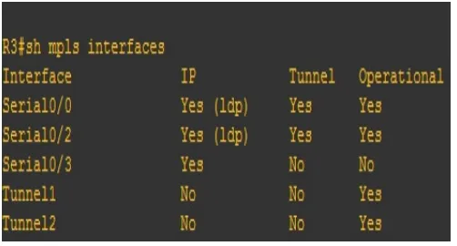 Figure C:MPLS interfaces 