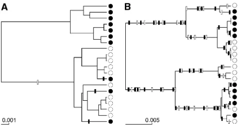 Figure 2 Two-population model.