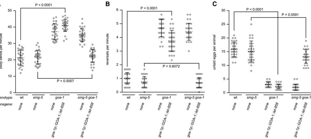 Figure 2 Expression of a degradation-tagged transgene rescues endogenous gene function in NMD-defective but not NMD-competent animals