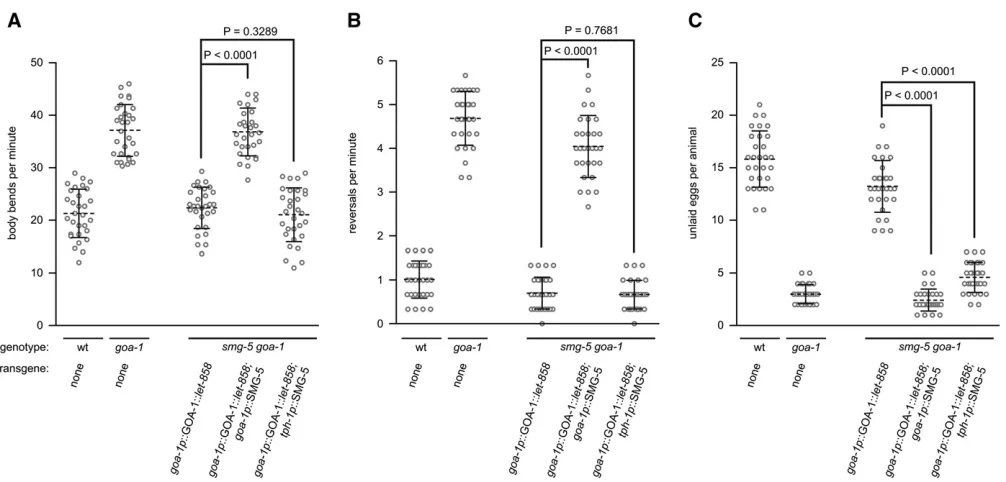 Figure 3 NMD-dependent knockdown of tagged transgenes is robust and can be restricted to individual cell types