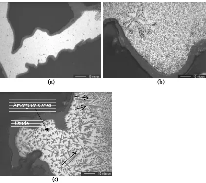 Fig. 5.4.  Optical micrographs of the polished and etched cross-section of BMG chips associated with light emission (Exp