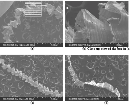 Fig. 5.9.  BMG chips in Exp. IV: (a) and (b) 2.5 mm/min, (c) 5 mm/min and (d) 10 mm/min feed rate