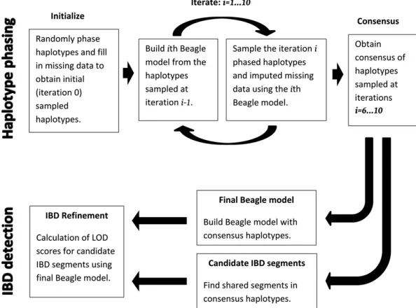 Figure 1 Overview of the Reﬁned IBD algorithm.