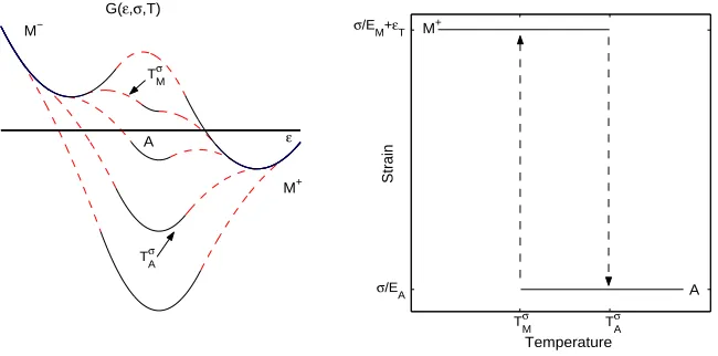 Figure 6.3: The speciﬁc Gibbs free energy (6.12) at a ﬁxed stress and varying tem-peratures.The equilibrium conditions (6.13) yield a hysteretic strain-temperaturerelation with jumps at the stress-dependent transformation temperatures T σM and T σA.
